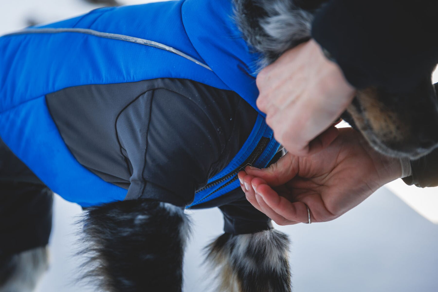 Vert™ Coverall Dog Snow Suit - Waterproof, Insulated Coverall