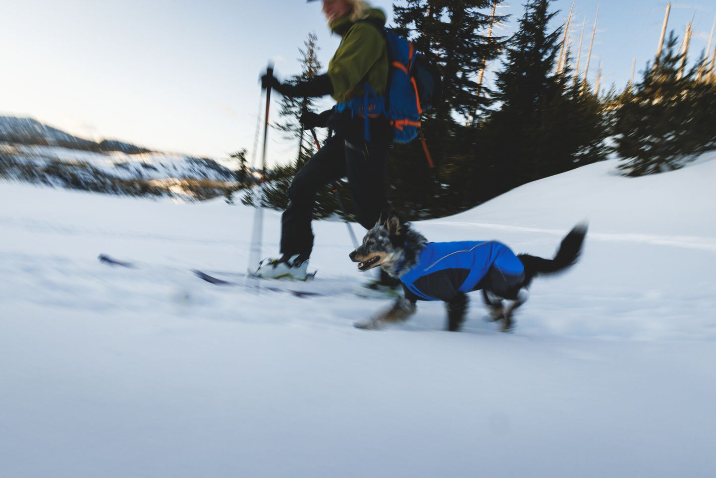 Vert™ Coverall Dog Snow Suit - Waterproof, Insulated Coverall