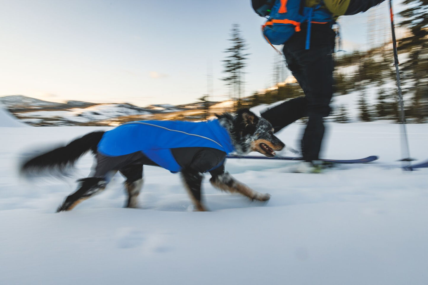 Vert™ Coverall Dog Snow Suit - Waterproof, Insulated Coverall