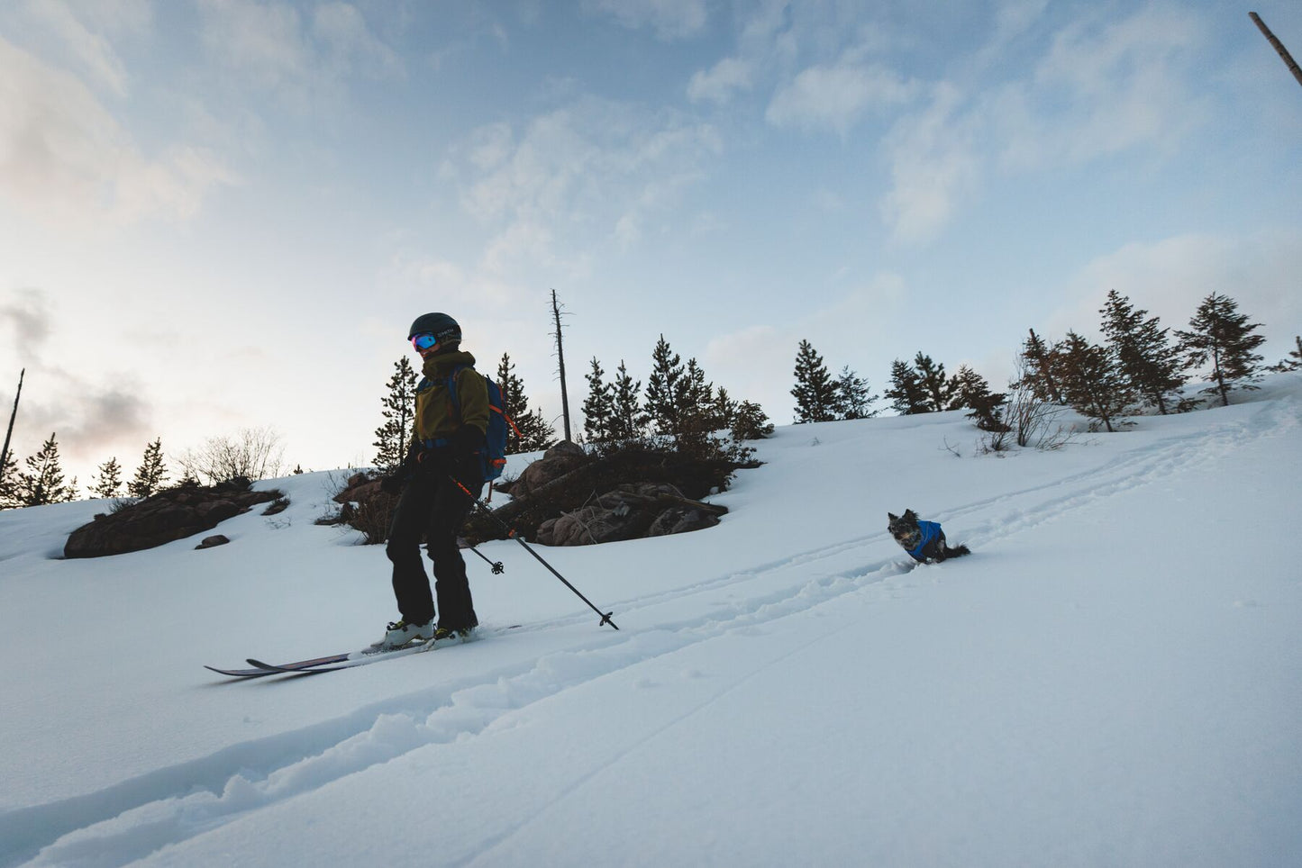 Vert™ Coverall Dog Snow Suit - Waterproof, Insulated Coverall