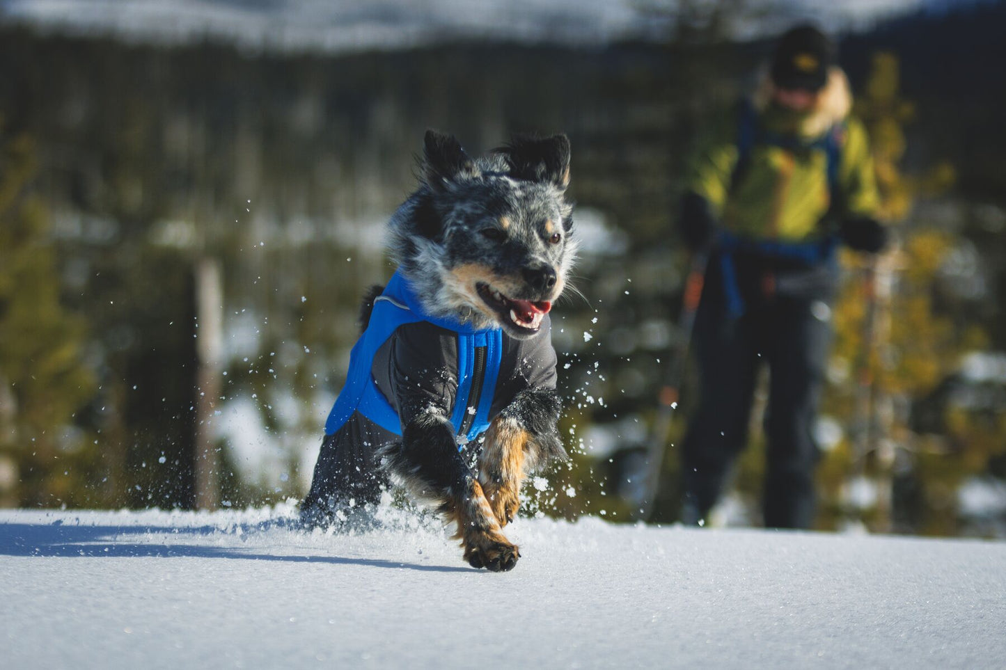 Vert™ Coverall Dog Snow Suit - Waterproof, Insulated Coverall