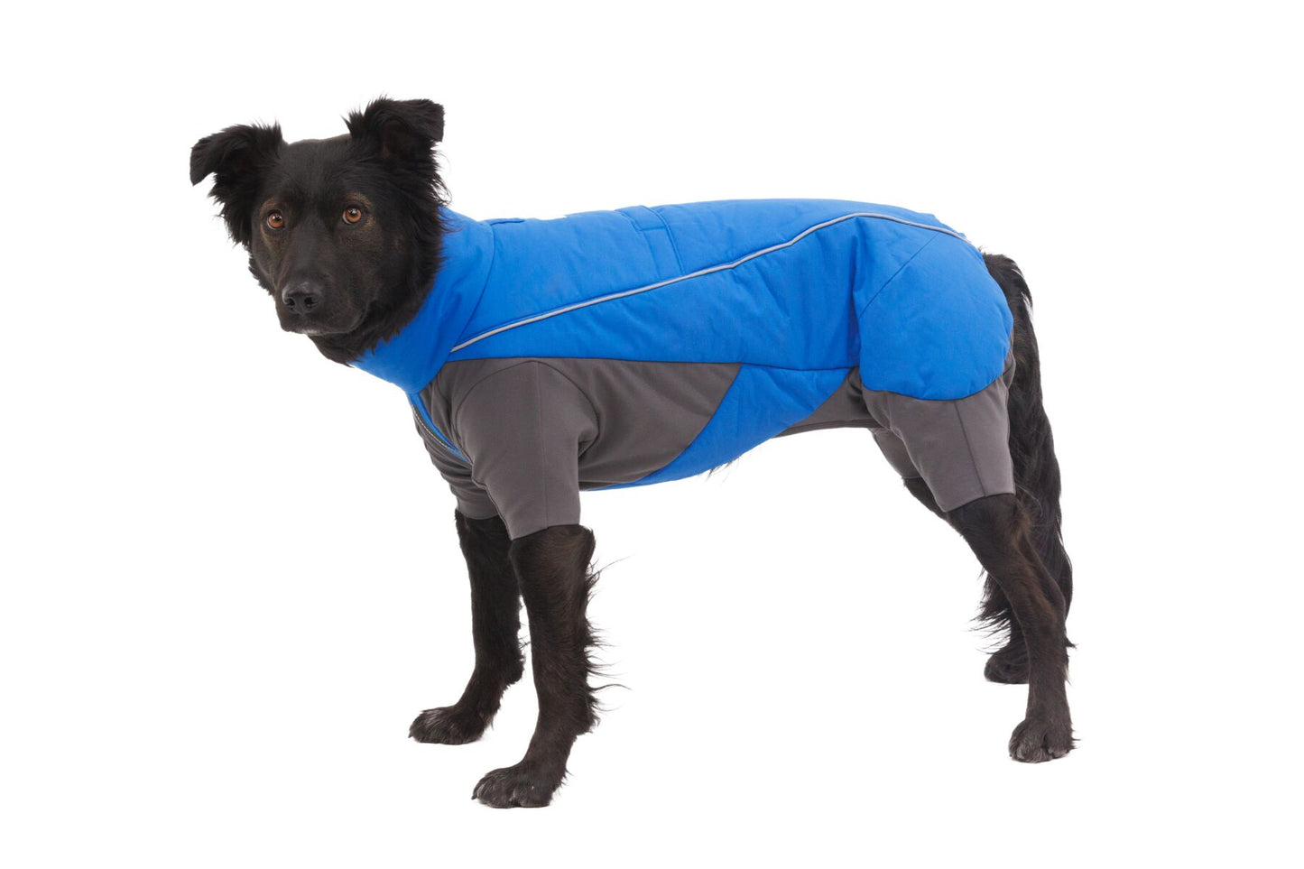 Vert™ Coverall Dog Snow Suit - Waterproof, Insulated Coverall