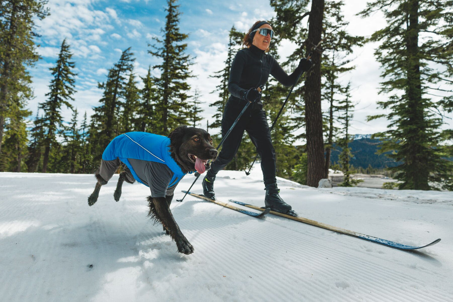 Vert™ Coverall Dog Snow Suit - Waterproof, Insulated Coverall