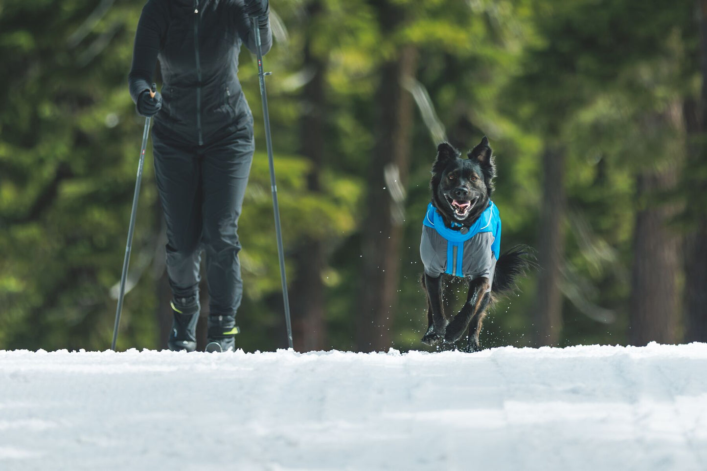 Vert™ Coverall Dog Snow Suit - Waterproof, Insulated Coverall