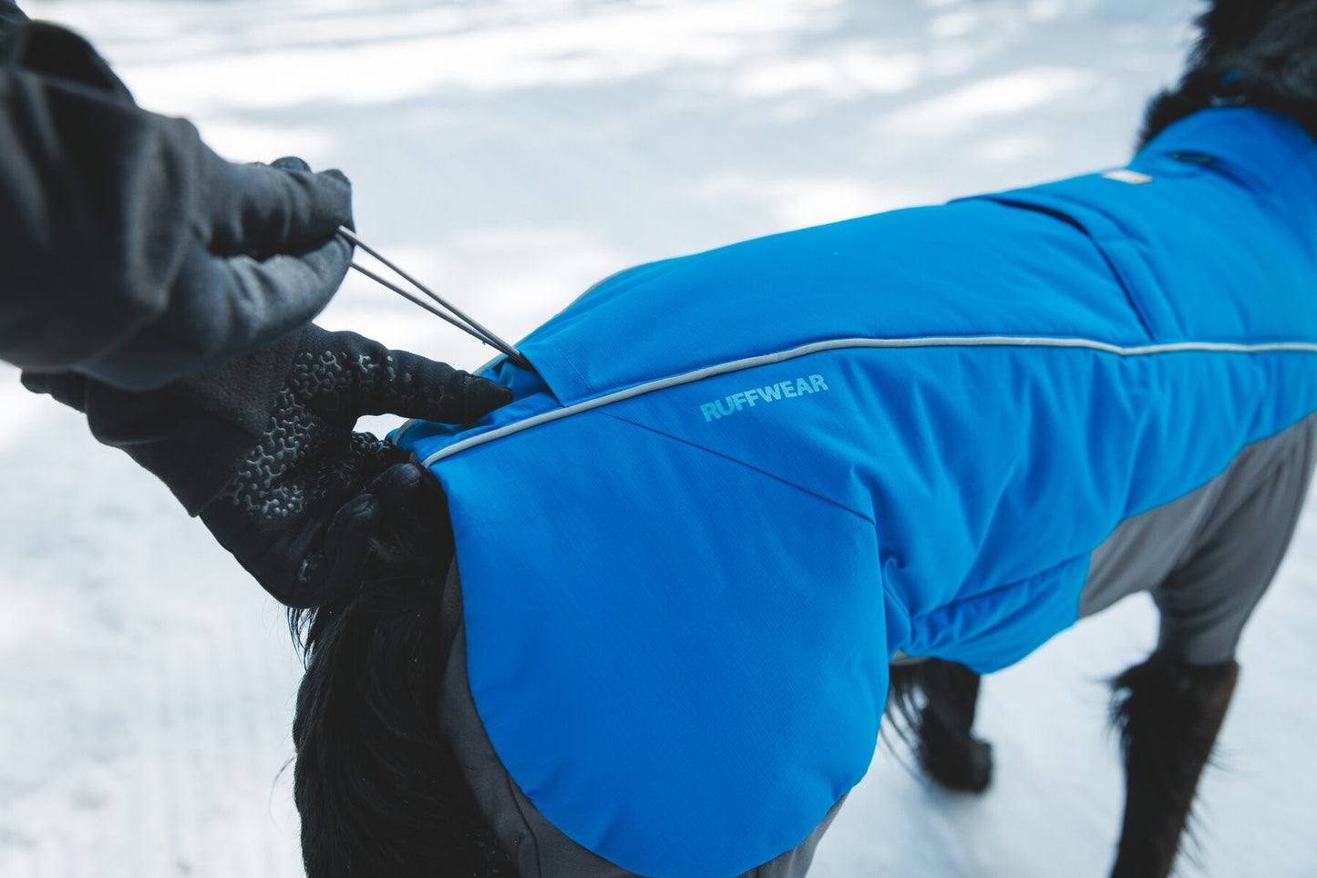 Vert™ Coverall Dog Snow Suit - Waterproof, Insulated Coverall