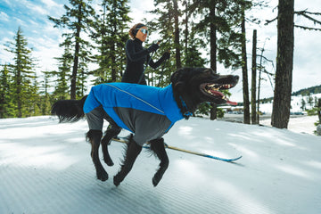 Vert™ Coverall Dog Snow Suit - Waterproof, Insulated Coverall