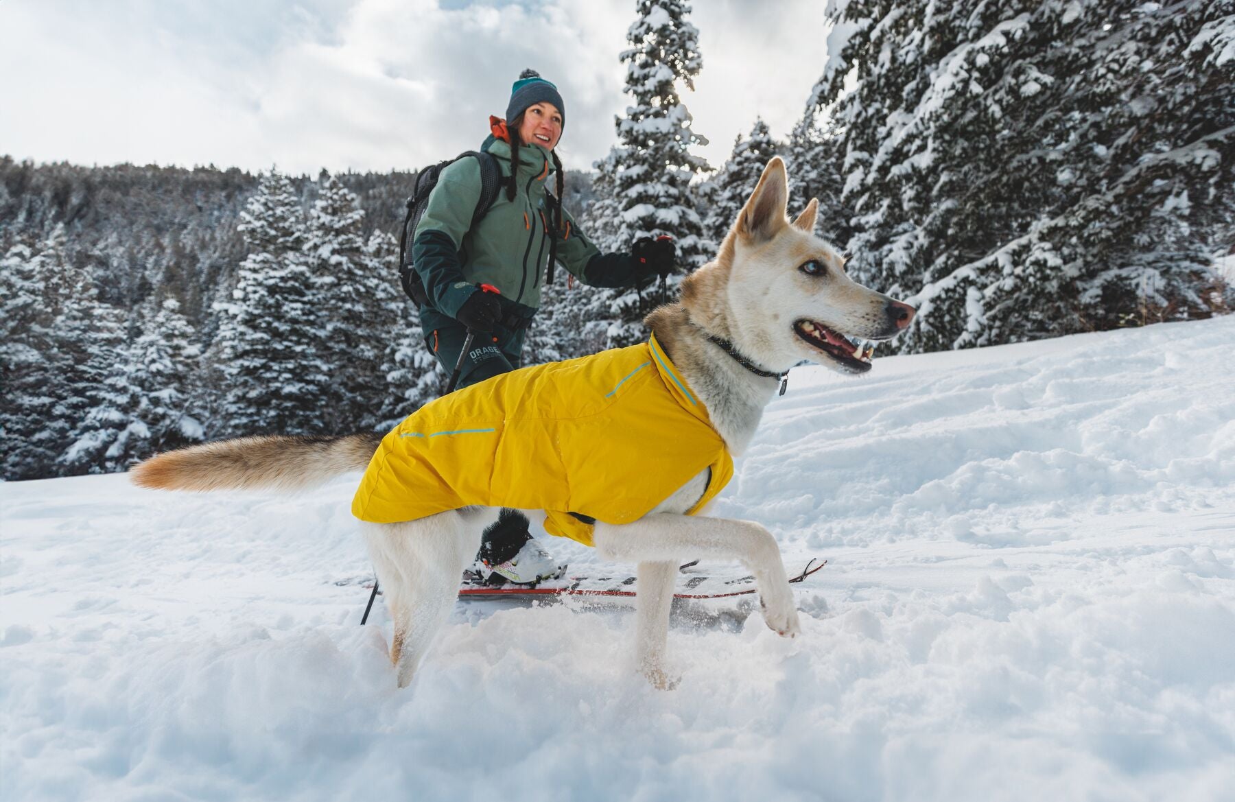 Ruffwear Vert Waterproof Dog Coat – The Dog Outdoors