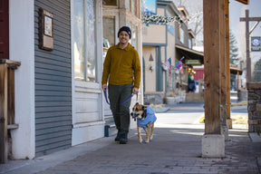 hemp dog sweaters Ruffwear Hemp Hound helitrope purple dog on a walk winter cold