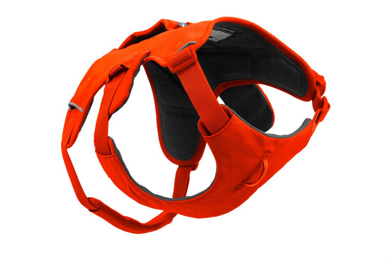 Ruffwear Web Master Harness - Escape Proof Dog Harness in Orange