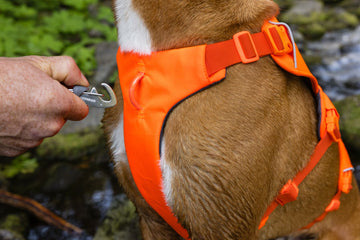 Ruffwear Web Master Escape Proof Dog Harness with Handle – Lift