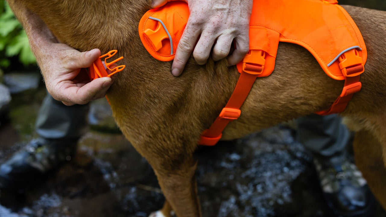 escape proof dog harness web master security harness 