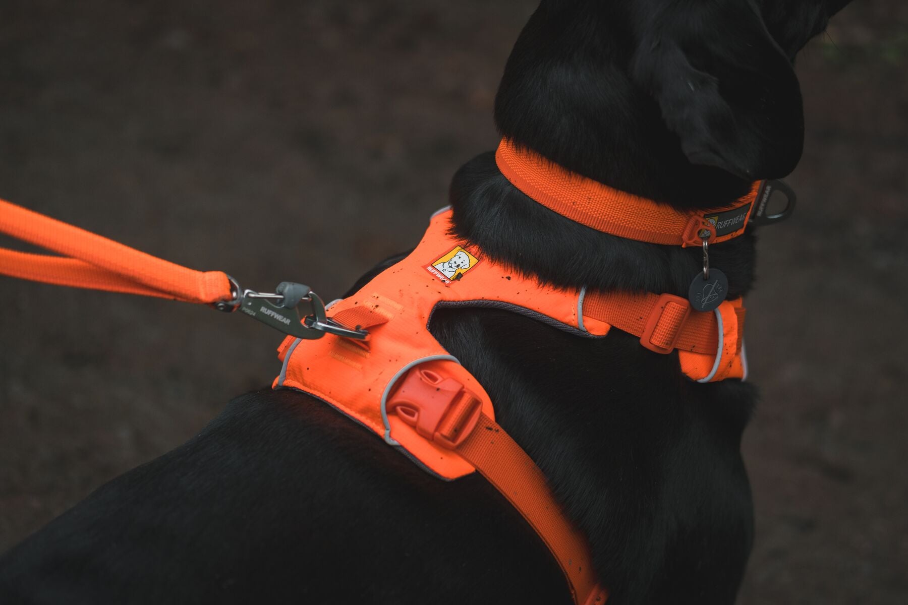 Ruffwear Front Range Harness – The Dog Outdoors
