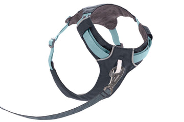 Ruffwear Hi & Light Dog Harness | Barks & Bunnies