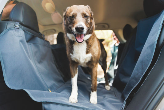 Ruffwear Dirtbag Vehicle Seat Cover protector