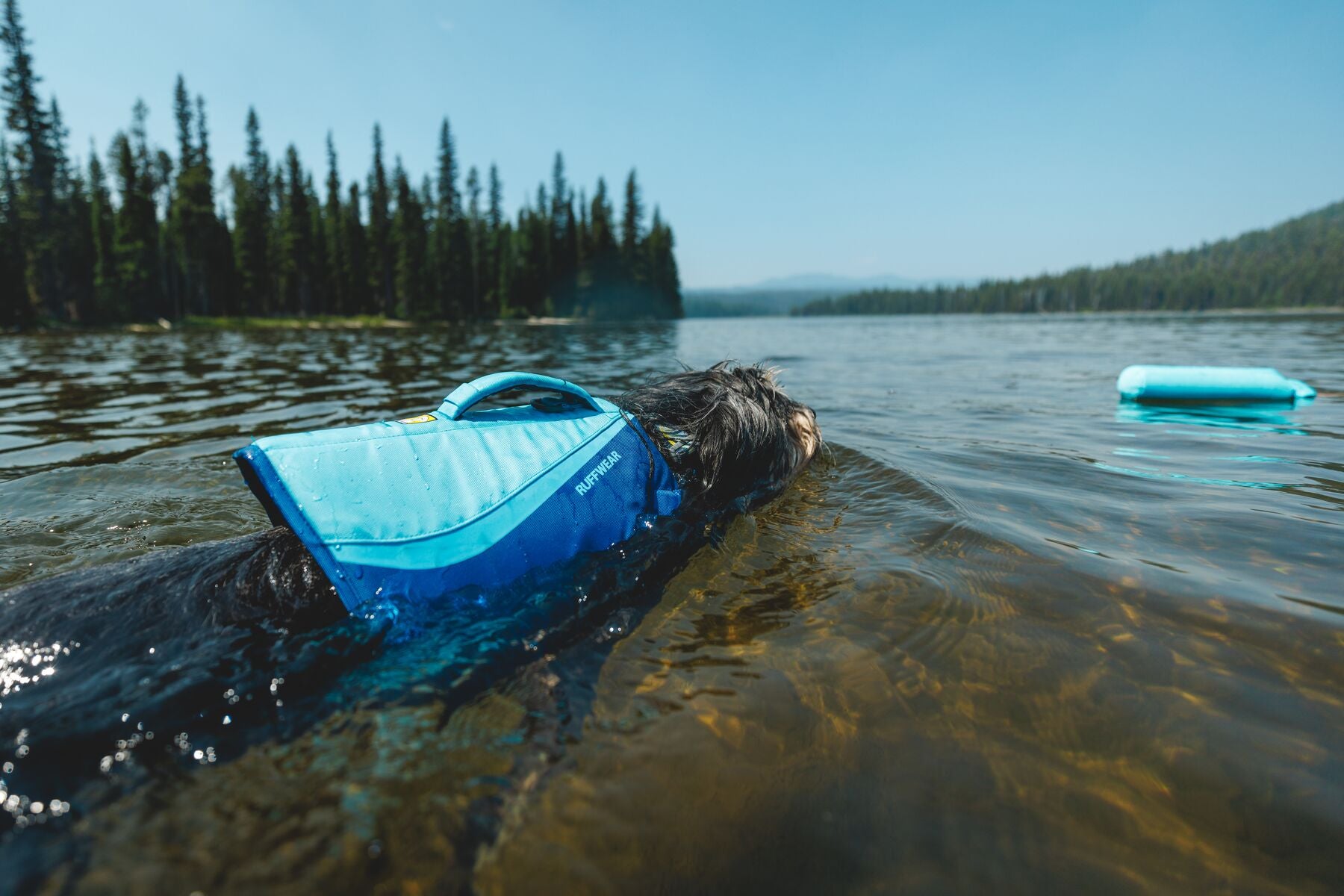 Ruffwear Float Coat Dog Life Vest | Buoyant, Secure, Dog Life Jacket ...