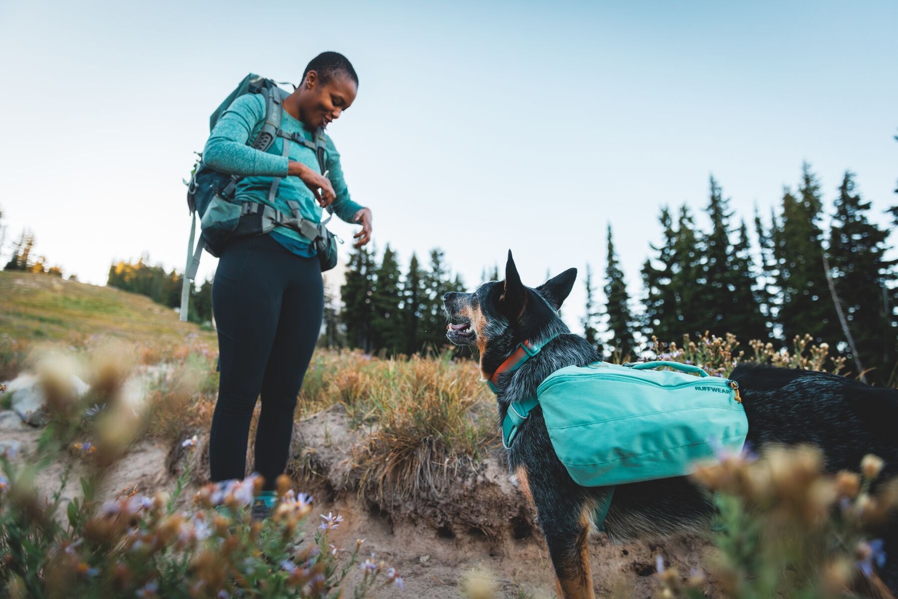 Ruffwear Front Range Day Pack – The Dog Outdoors