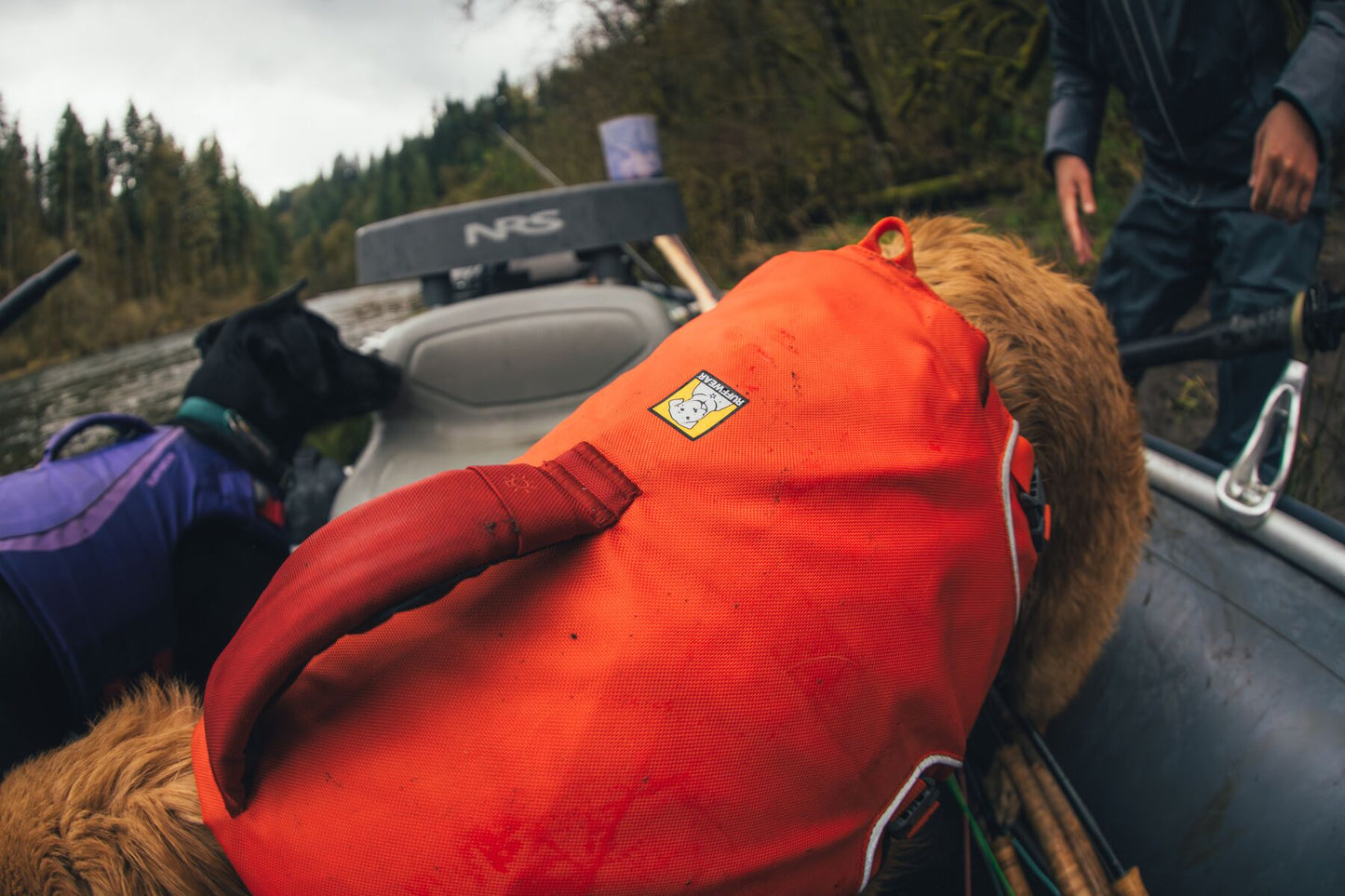 Confluence™ Dog Life Jacket