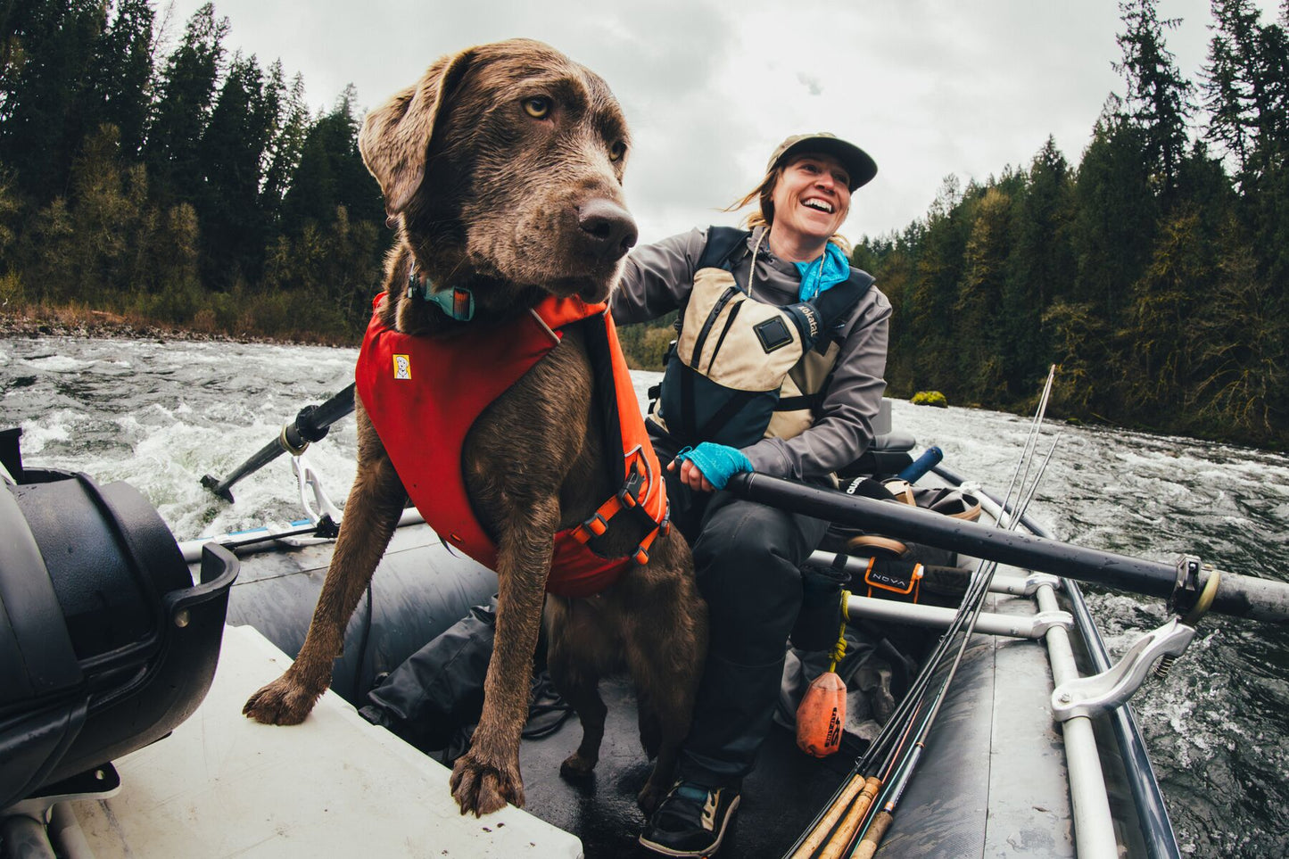 Confluence™ Dog Life Jacket