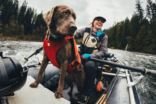 Confluence™ Dog Life Jacket