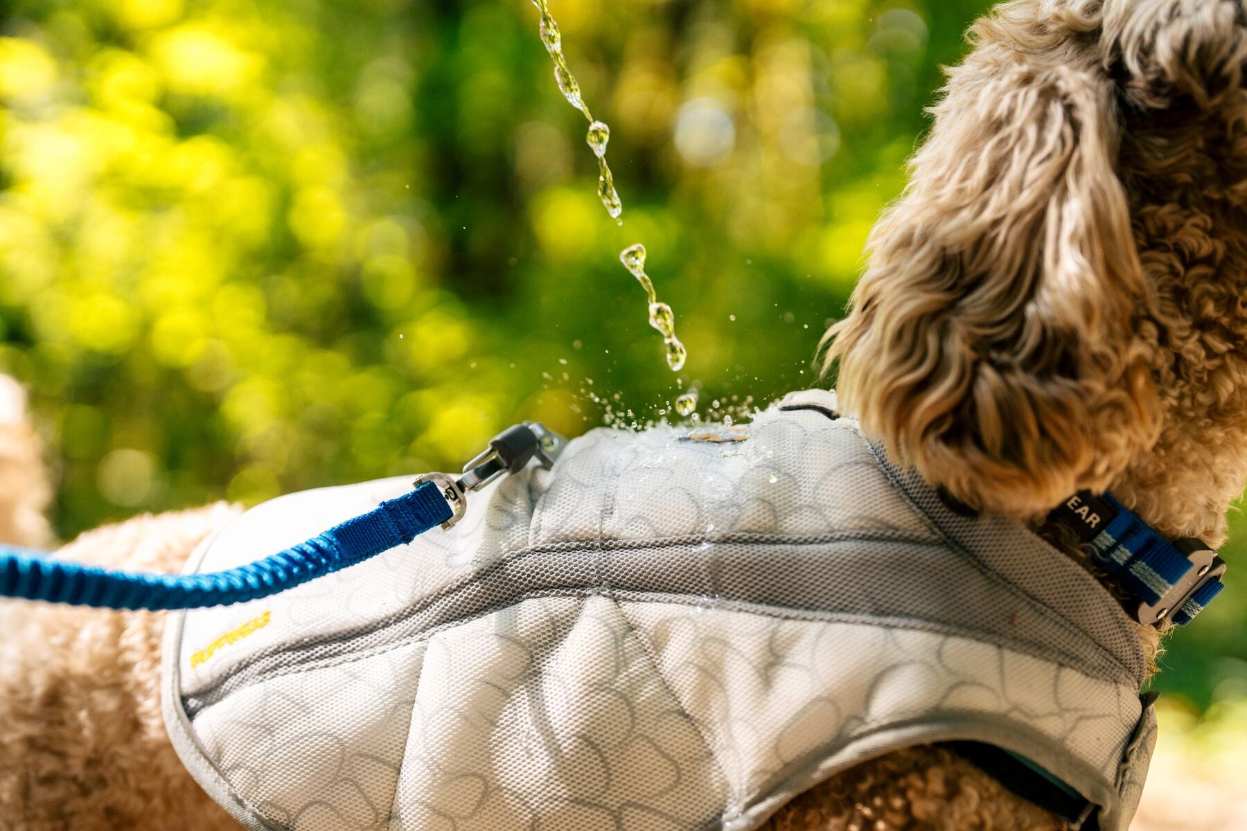 Ruffwear Swamp Cooler Dog Cooling Vest – The Dog Outdoors