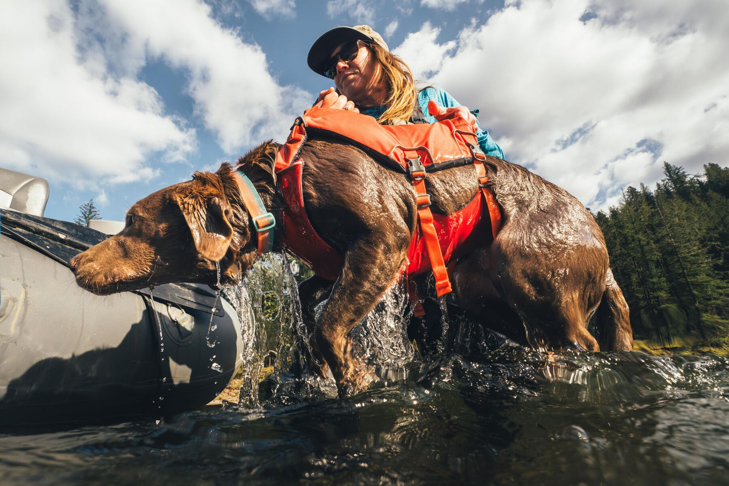 Confluence™ Dog Life Jacket