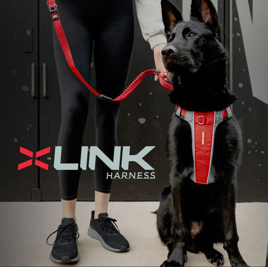 Ezydog X-Link Harness - Red Medium (Customer Return)