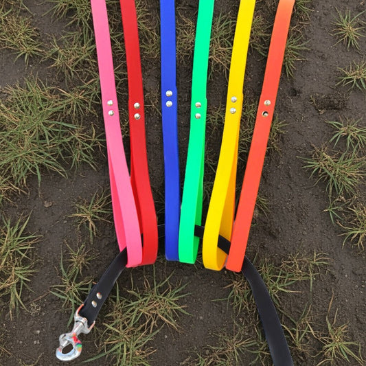 Zeta Waterproof Dog Leashes | 6 Foot