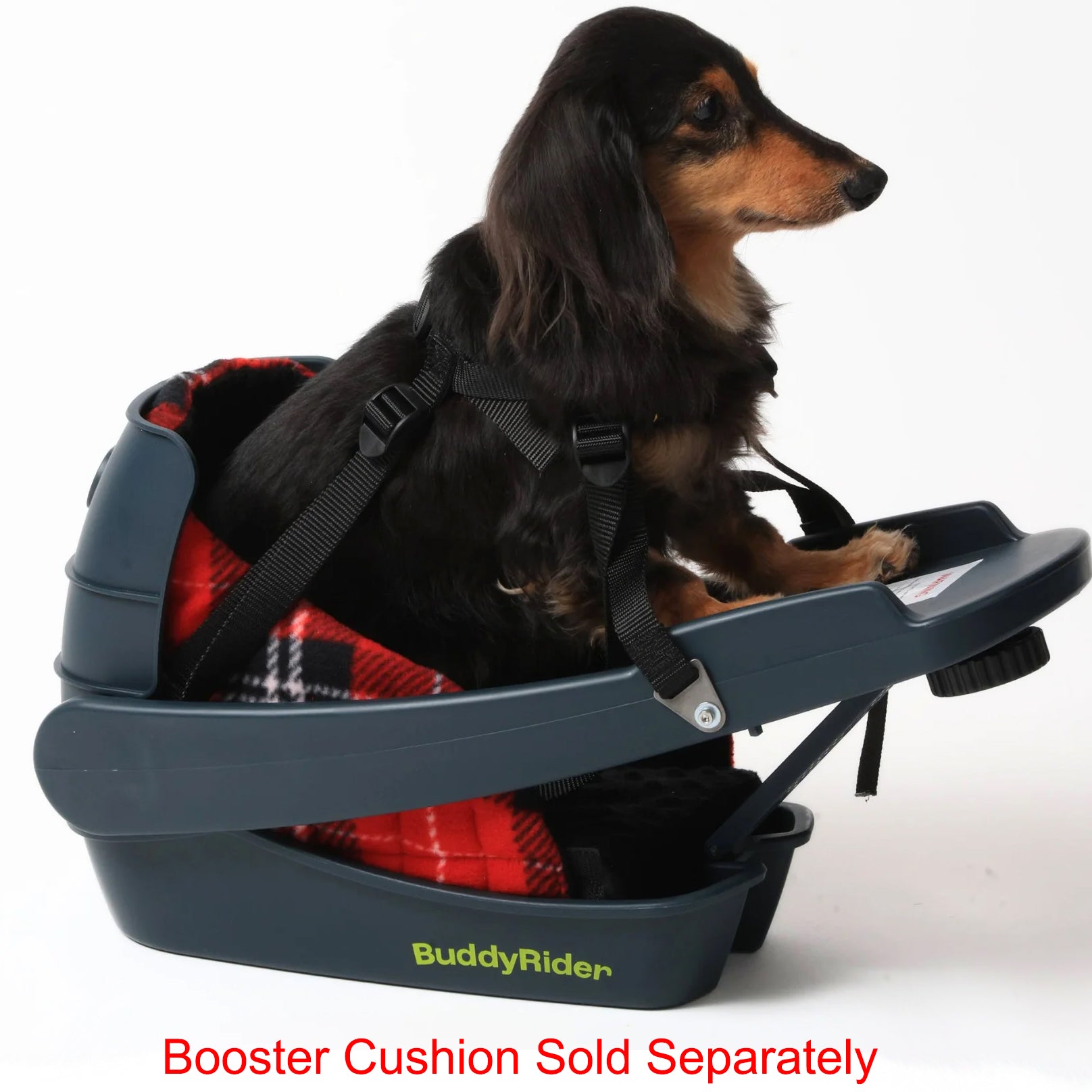 Buddyrider Series 2 Dog Bicycle Seat | Dog Bike Seat For Dogs Up To 25 ...