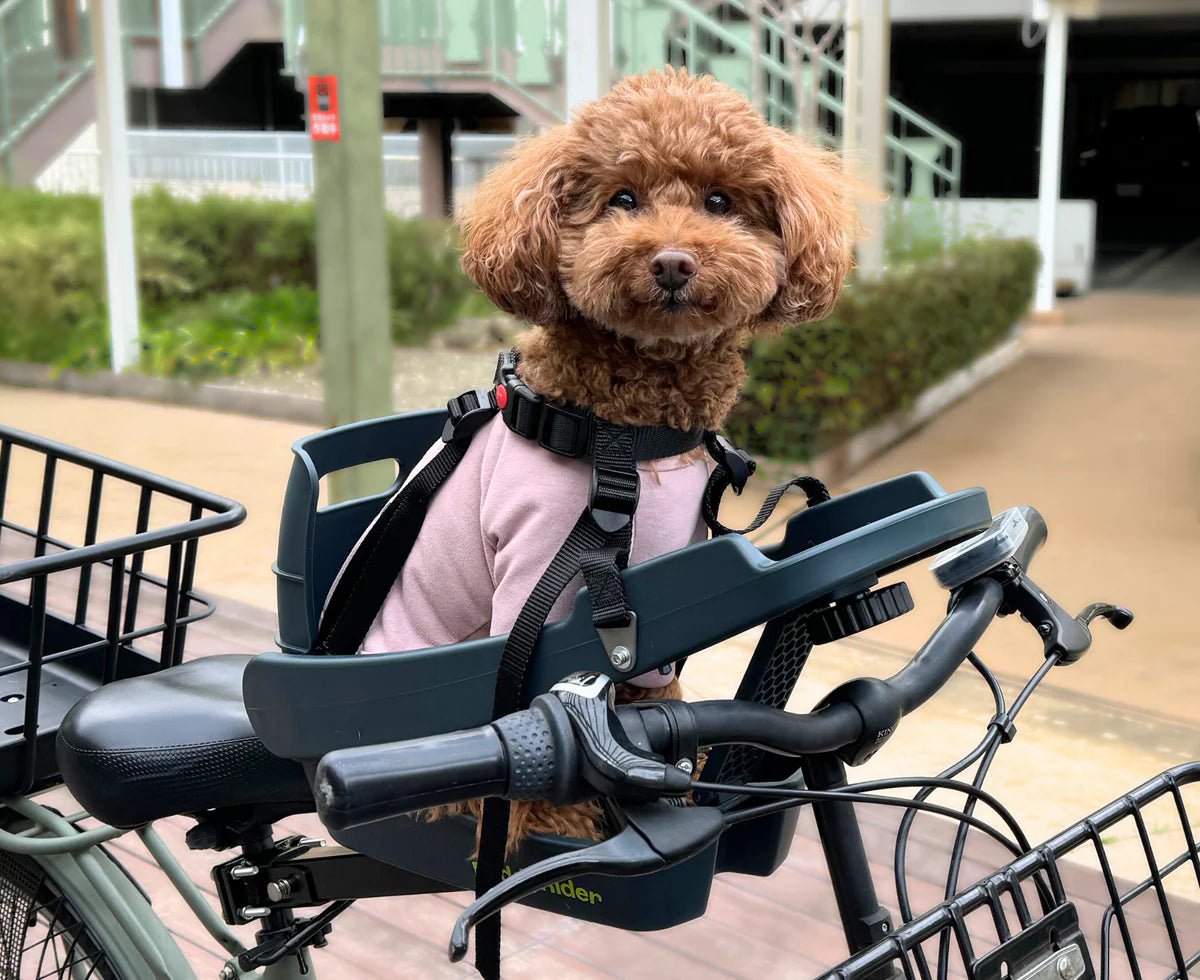 Buddyrider Series 2 Dog Bicycle Seat | Dog Bike Seat For Dogs Up To 25 ...