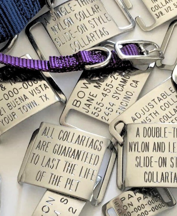 Boomerang Double-Thick Slide On Dog CollarTag™ - Stainless Steel