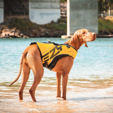 DFD X2 Boost Dog Life Vest – The Dog Outdoors
