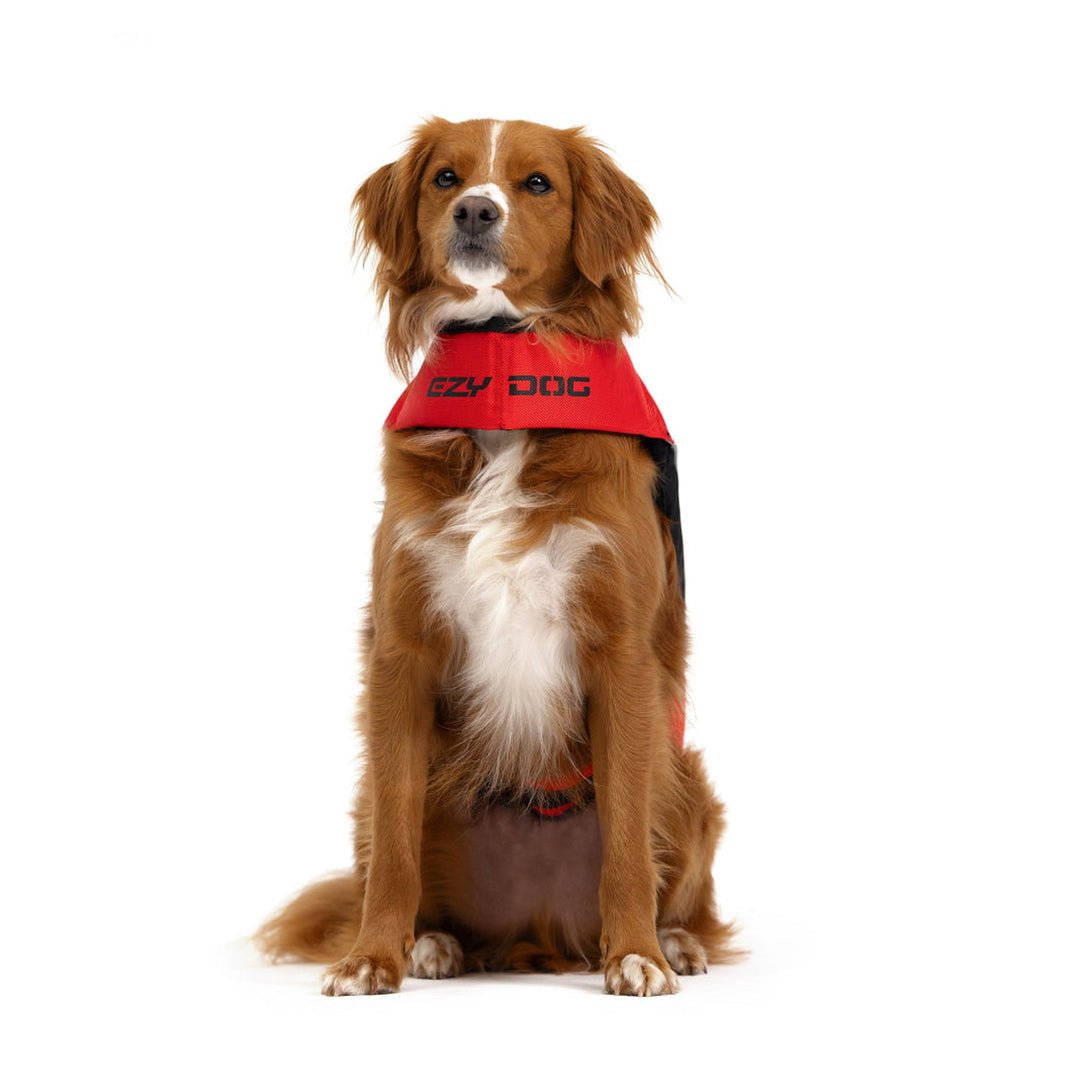 DFD X2 Boost Dog Life Vest – The Dog Outdoors