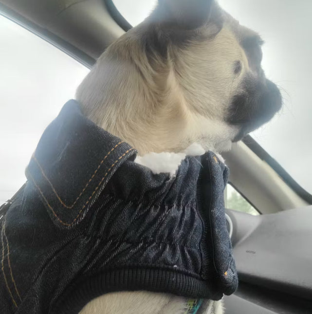 dark denim dog jean jacket happy customer photo
