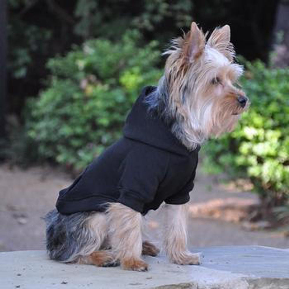 dog hoodie happy customer terrier wearing a dog hoodie