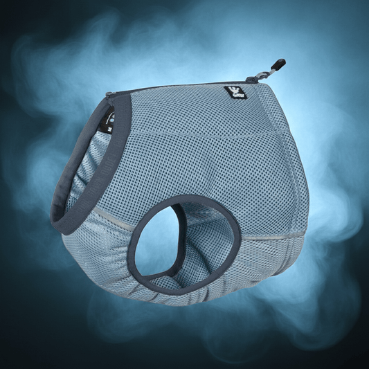 Hurtta Motivation Dog Cooling Vest