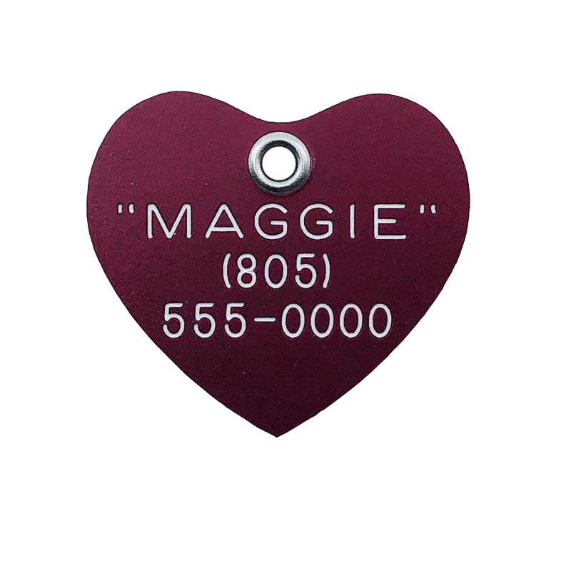 E-Z Read Durable Plastic Dog Tags - Guaranteed Not To Break