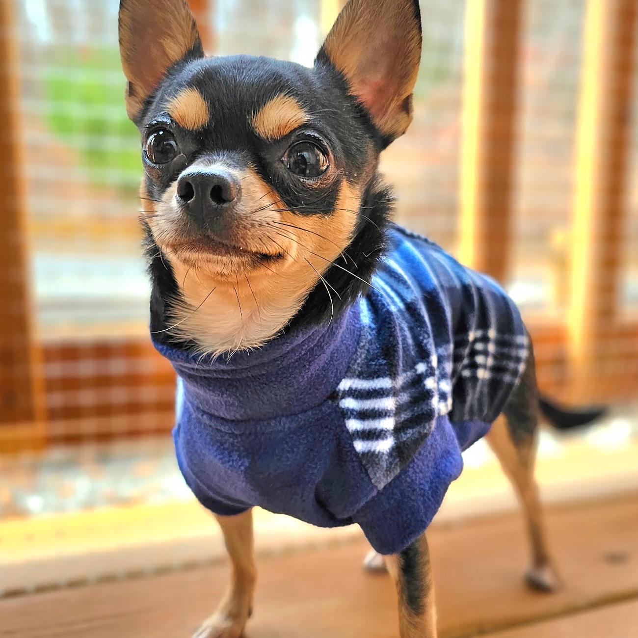 Highline Fleece Dog Wrap Coat