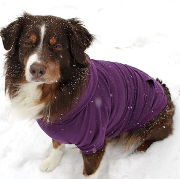 <p><strong>Dog Hoodies</strong></p>