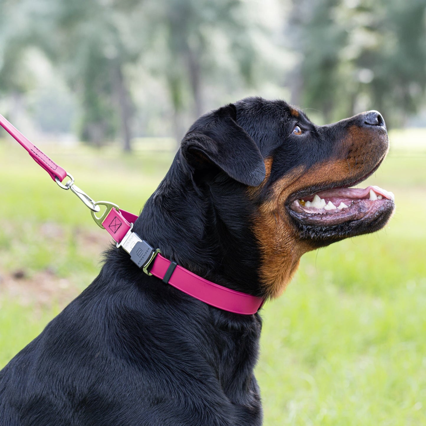 adjustable waterproof biothane dog collar with stainless steel buckle – stink proof, made in usa, durable pet collar for active dogs