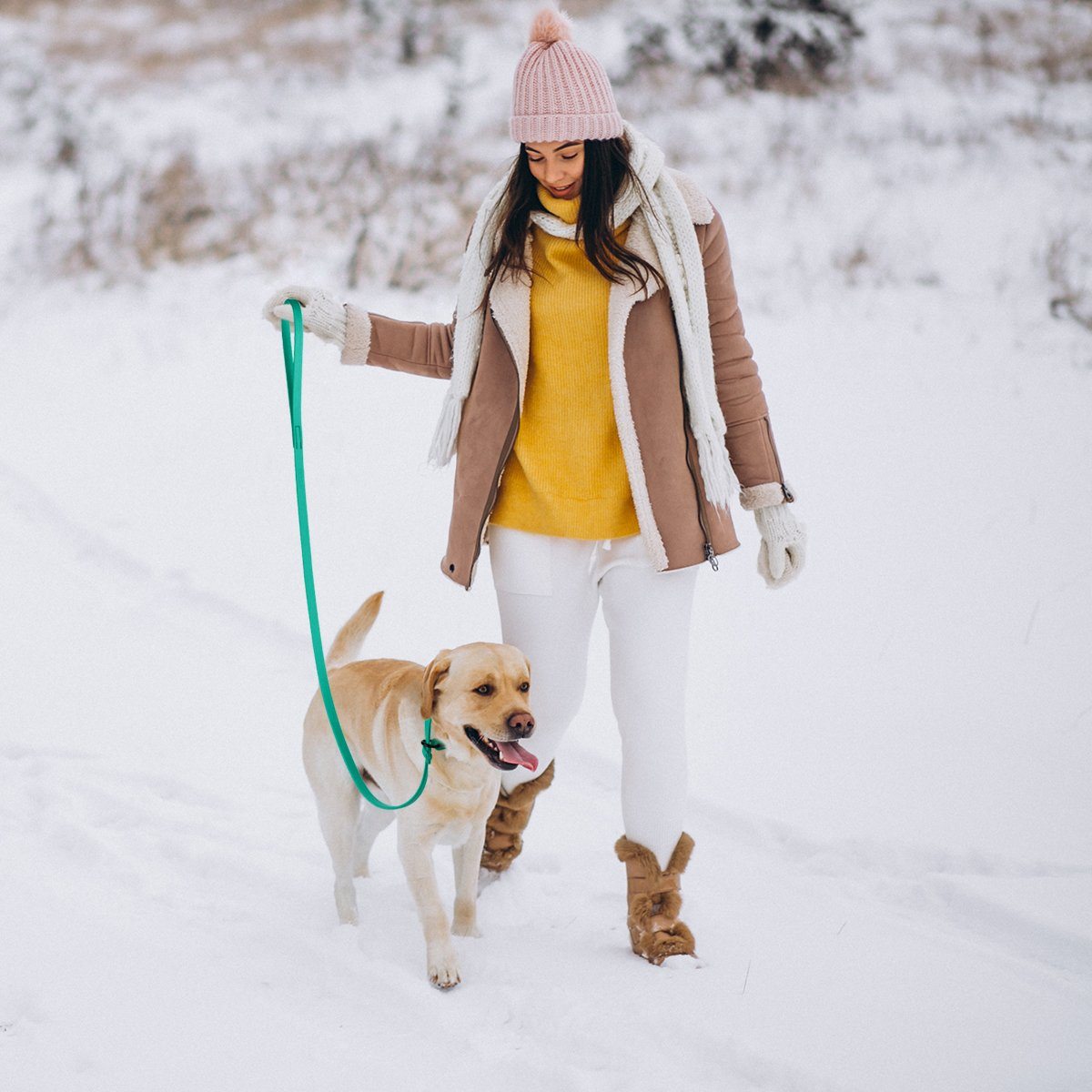 Biothane Long Line 10 ft Lead with Brass Hardware