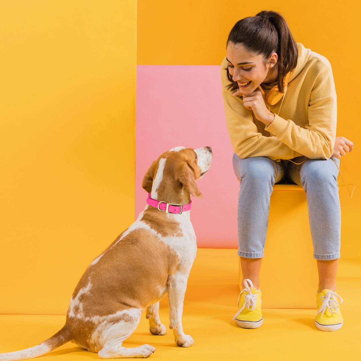 Biothane Waterproof Dog Collar - Brass Hardware - 1.5in Wide - Size L (16" - 20" Neck)