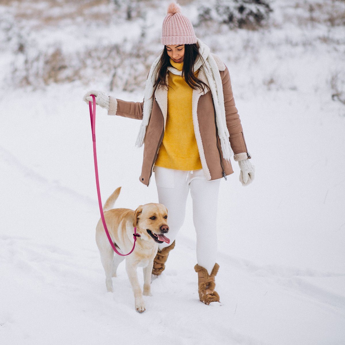 Biothane Long Line 15 ft Lead with Brass Hardware