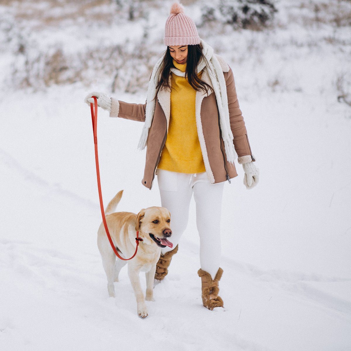 Biothane Long Line 20 ft Lead with Brass Hardware