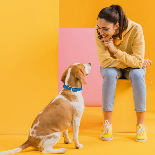 Biothane Waterproof Dog Collar - Brass Hardware - 1.5in Wide - Size XL (20" - 24" Neck)