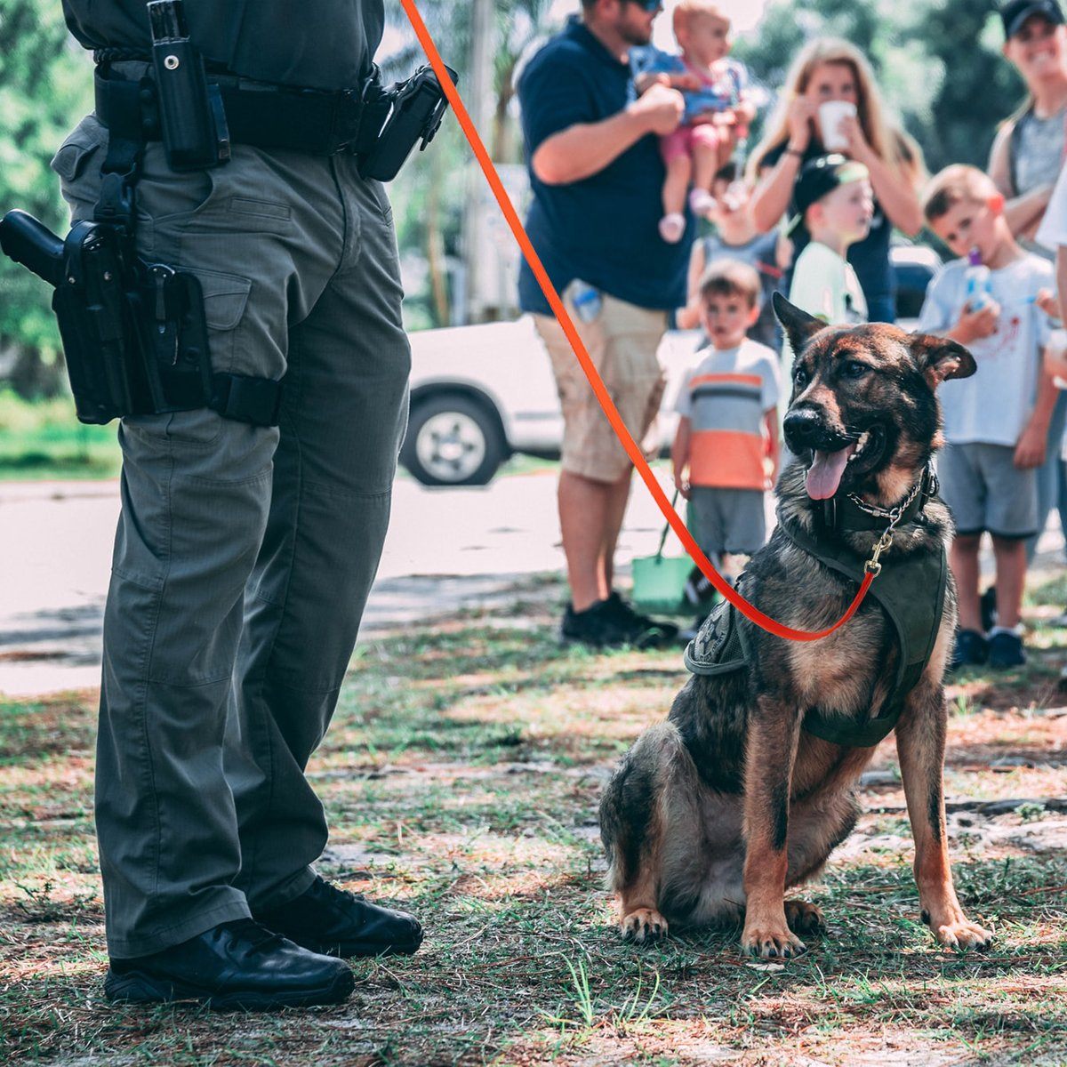 Biothane Long Line 15 ft Lead with Brass Hardware