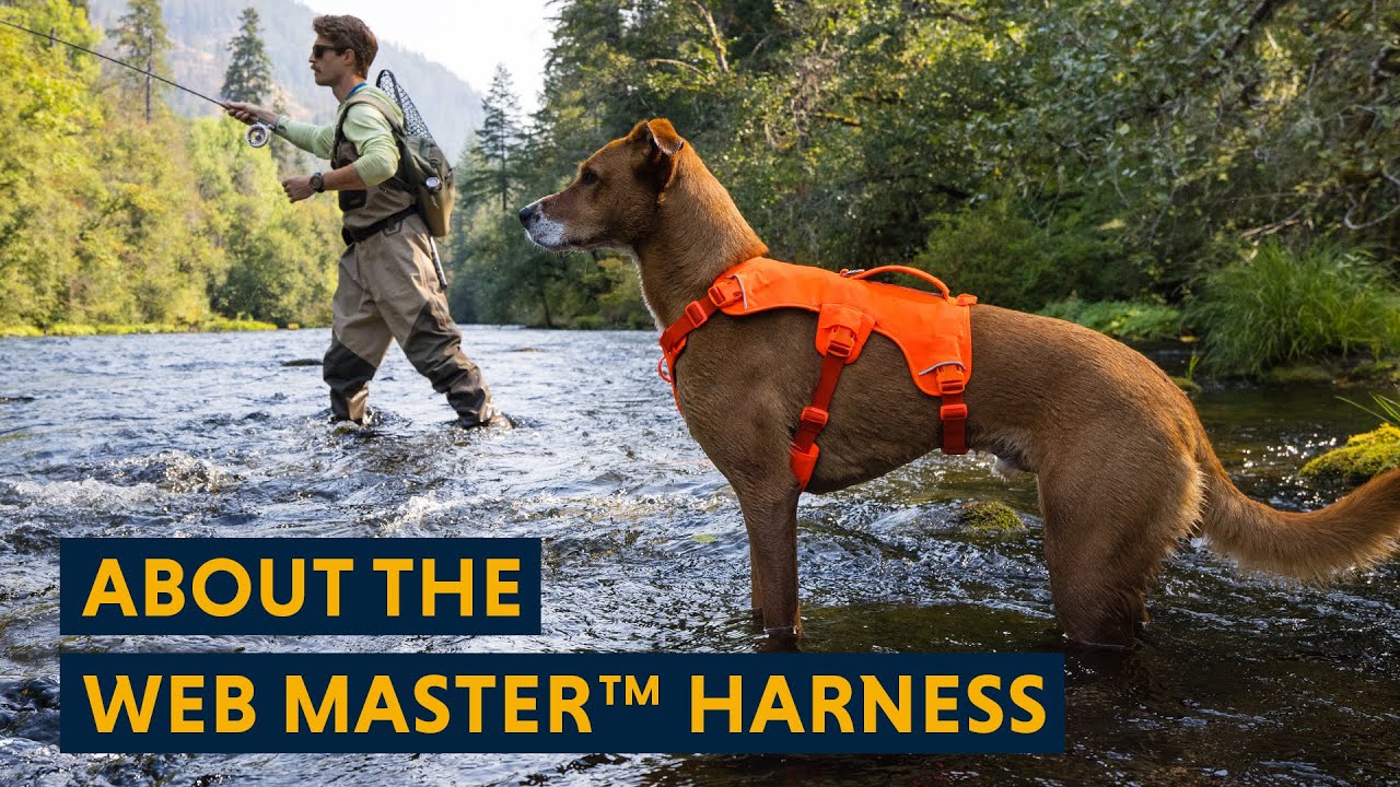 How to adjust the escape proof dog harness by Ruffwear