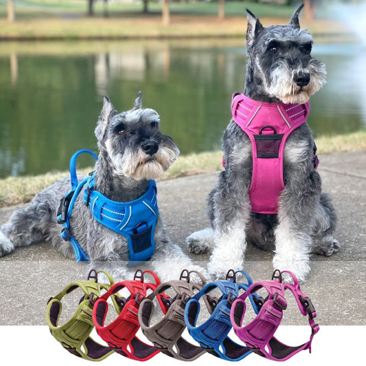 Venture Paw Mesh Lined Dog Harnesses