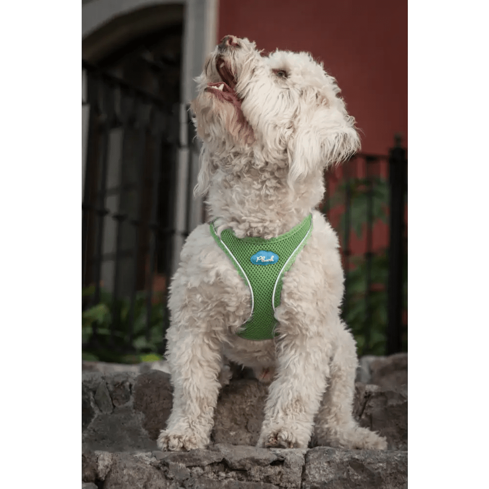 Plush Step In Air Mesh Harness - Grass Green