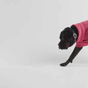 multi-knit turtleneck dog sweater for winter in pink large dog sweater video