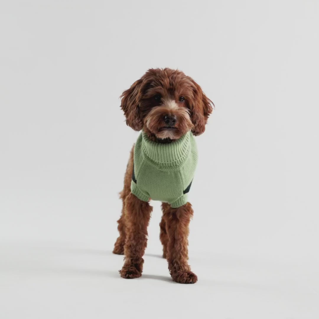 multi-knit turtleneck dog sweater for winter video overview